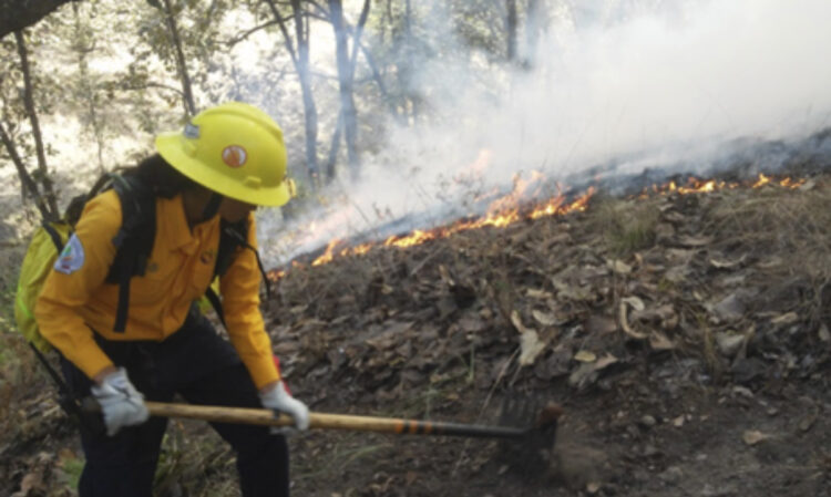 Alerta CONAFOR contra incendios forestales, pide precaución