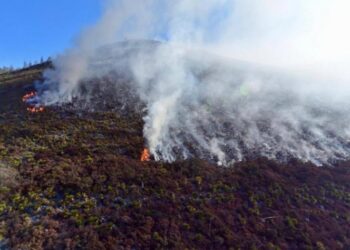 Incendio forestal de Coahuila y Nuevo León arrasa con 4,600 hectáreas