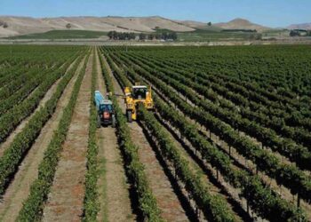 Hacer paces con la naturaleza mejora agroindustria: Aristóteles Vaca