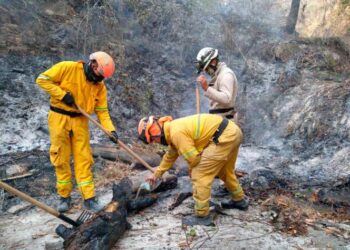 Controlan incendio en la Sierra de Santiago, Nuevo León en un 80%