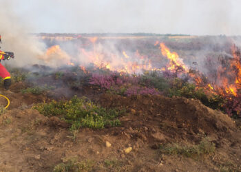 Afectan incendios forestales mil 150 hectáreas en Tula y Llera