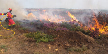 Afectan incendios forestales mil 150 hectáreas en Tula y Llera