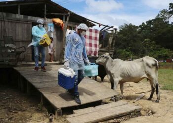 Brasil registra nuevo récord de muertes por covid, 1 mil 910 en 24 horas