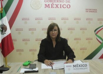 Muere por covid-19 la mamá de Rocío Nahle, titular de la Sener