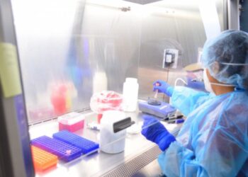 Reportan 17 muertos y 65 nuevos contagios de Covid en Tamaulipas