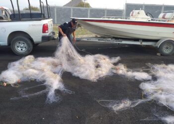 Armada de México, CONAPESCA y SEPESCA, retiran artes de pesca en la presa Vicente Guerrero