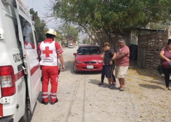 Menor persigue a gato y cae de una barda