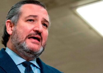 Llama senador Ted Cruz al gobierno permitir cobertura informativa por crisis migratoria.