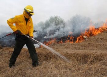 Afectan dos incendios a sierra de Tamaulipas