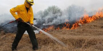 Afectan dos incendios a sierra de Tamaulipas