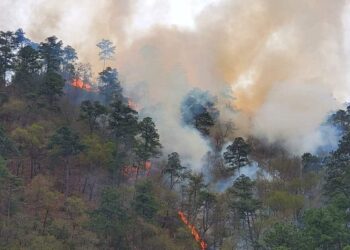 Incendios de NL perjudican al aire de Texas