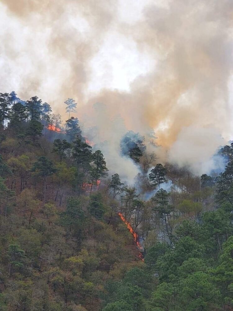 Incendios de NL perjudican al aire de Texas