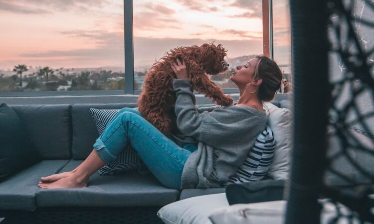 Es buena idea adoptar un perro?