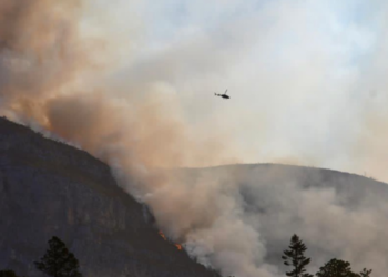 Declaran emergencia tras incendio forestal