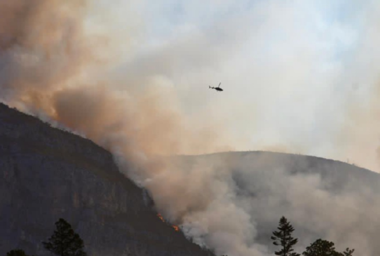 Declaran emergencia tras incendio forestal