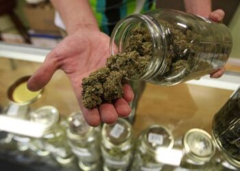 Diputados aprueban marihuana para uso ludico