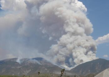 Incendios forestales de Coahuila y Nuevo León no afectan a Tamaulipas