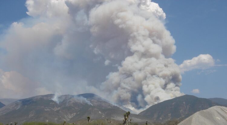Incendios forestales de Coahuila y Nuevo León no afectan a Tamaulipas