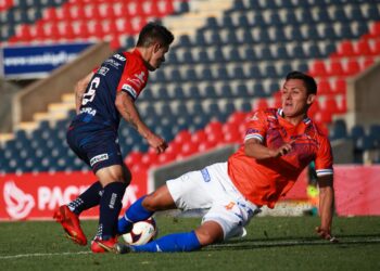 Vuelve a caer Correcaminos