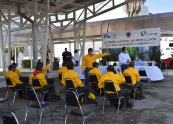 Busca Tamaulipas evitar incendios forestales como los de Nuevo León