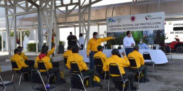 Busca Tamaulipas evitar incendios forestales como los de Nuevo León