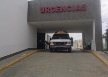 Delicado menor tras ser atacado por abejas