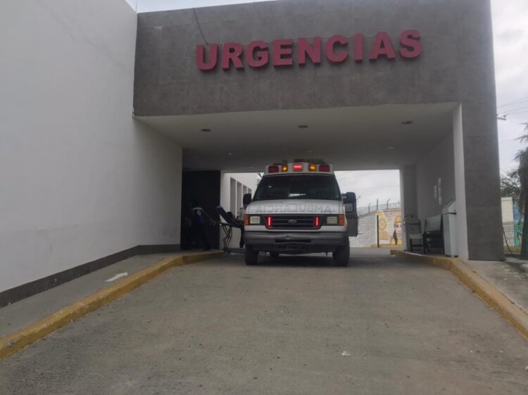 Delicado menor tras ser atacado por abejas