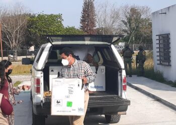 Listos 3 niveles de gobierno para iniciar en Matamoros vacunación contra COVID