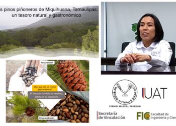 Destacan en conferencia la importancia de los pinos piñoneros de Miquihuana