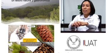 Destacan en conferencia la importancia de los pinos piñoneros de Miquihuana