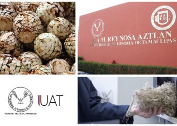 Propone estudiante de UAT generar ácido láctico a partir de desechos de industria tequilera