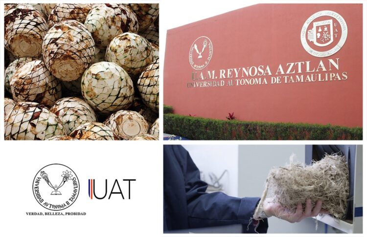 Propone estudiante de UAT generar ácido láctico a partir de desechos de industria tequilera