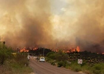 Arde sierra de Miquihuana; pobladores claman control y auxilio económico