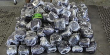 Interceptan más de 4MDD en droga en puente Pharr-Reynosa