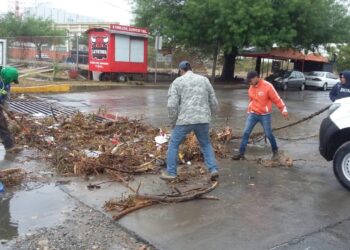 Atiende Protección Civil emergencias por lluvias en Victoria