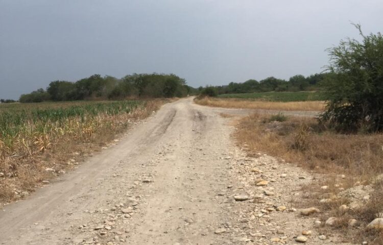 Antorchistas urgen restaurar caminos ejidales en El Mante