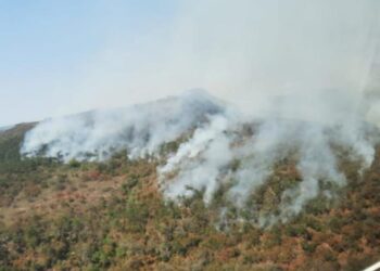 Afecta ya 3 mil hectáreas incendio en sierra de Miquihuana, Tamaulipas