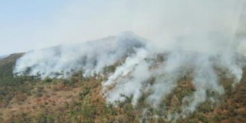 Afecta ya 3 mil hectáreas incendio en sierra de Miquihuana, Tamaulipas