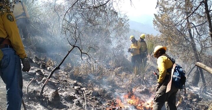 Afecta ya 3 mil hectáreas incendio en sierra de Miquihuana, Tamaulipas