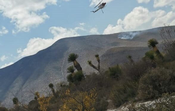 Afecta ya 3 mil hectáreas incendio en sierra de Miquihuana, Tamaulipas