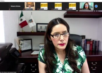 Fundamental  participación de la juventud en la vida pública del país: Blanca Hernández