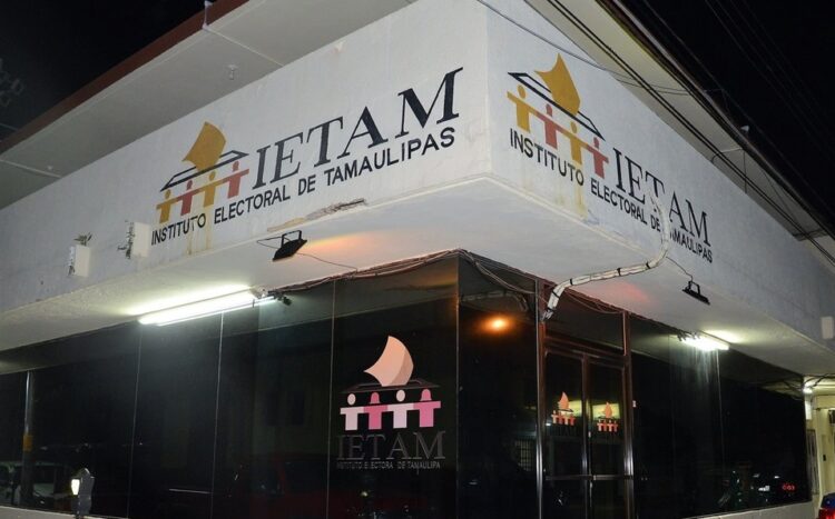 Escaso interés en la figura de observadores electorales