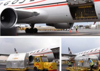 Llega a México embarque con más de 480 mil vacunas de Pfizer