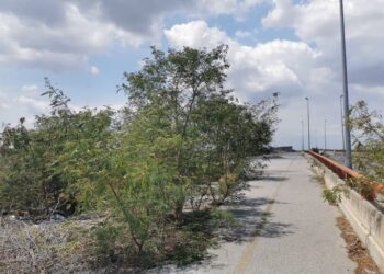 A 11 años del “Puente Roto” de Altamira, la obra sigue en el olvido 