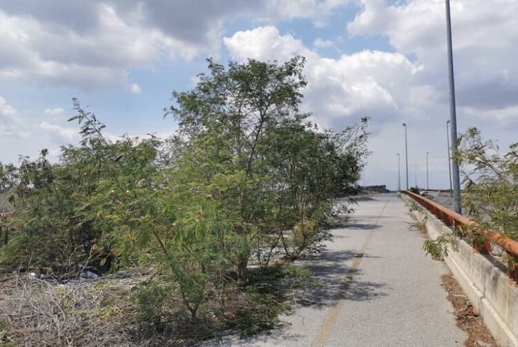 A 11 años del “Puente Roto” de Altamira, la obra sigue en el olvido