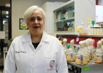 IPN desarrolla bioinsecticidas para aguacate, maíz, sorgo