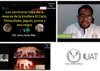 Promueve UAT conservación del jaguar en reserva ecológica “Biósfera El Cielo”
