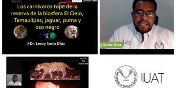 Promueve UAT conservación del jaguar en reserva ecológica “Biósfera El Cielo”