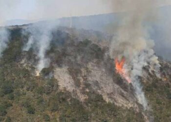 Consumen incendios forestales más de 3 mil 500 hectáreas