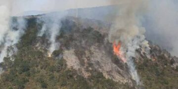 Consumen incendios forestales más de 3 mil 500 hectáreas